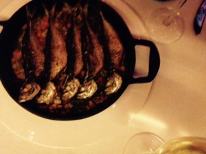 Rudolf hot starter plate